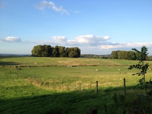 The Downs