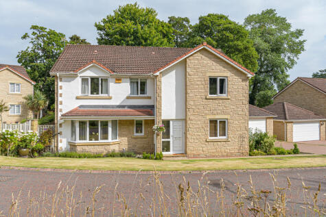 Springfield Meadow, Alnwick, Northumberland