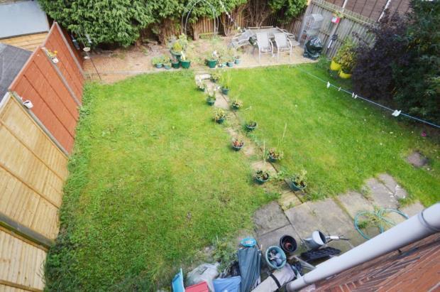 Garden (2)