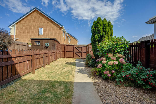 Back garden 1.1