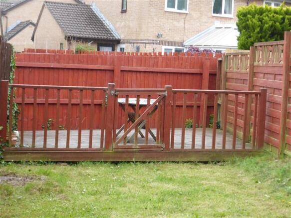 Photo 11