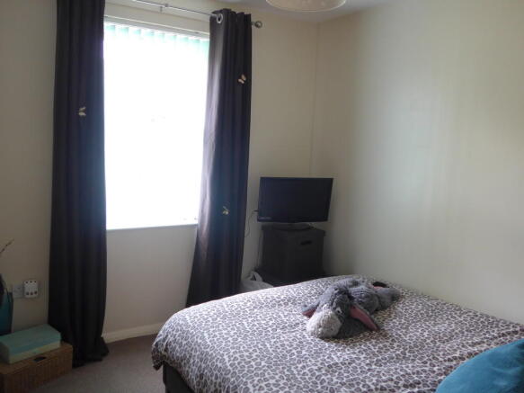 Photo 5