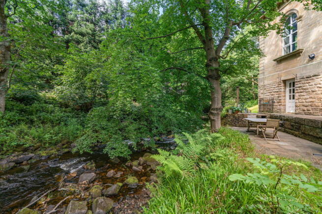 Photo 46