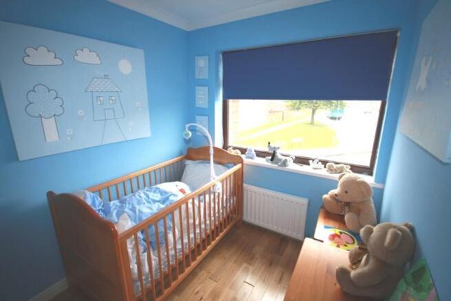 Photo 11