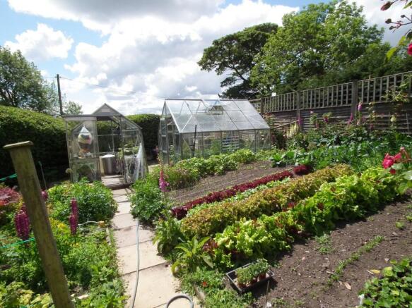 Veg Garden