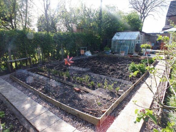 Vegetable garden