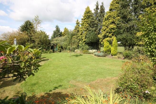 Garden 1