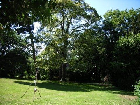 garden 2