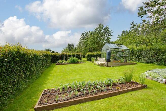Vegetable garden