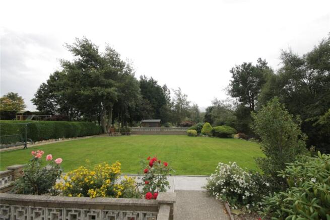 Lawn