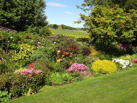 Rear Gardens in Summer