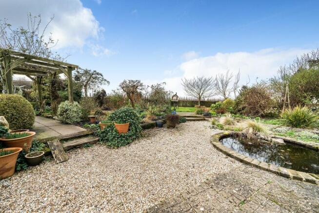 Garden (3)