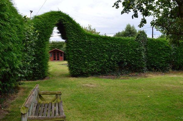 garden