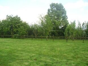 Paddock to Orchard