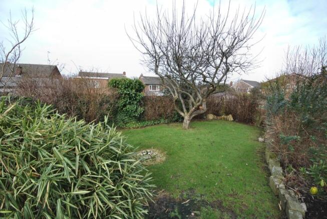Garden 3