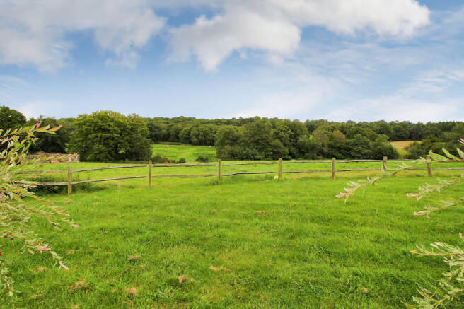 Picture 11