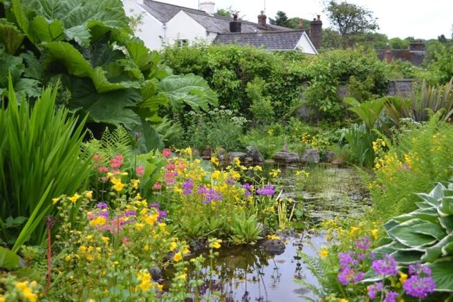 Pond