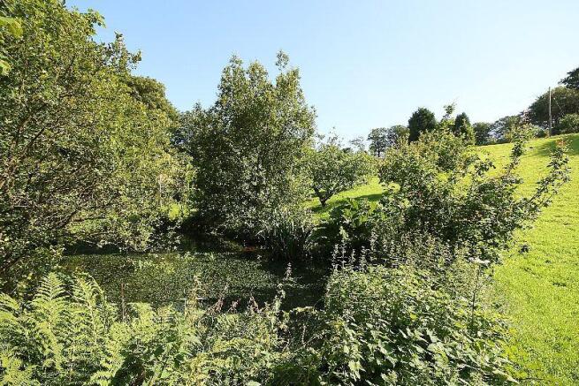 Pond and Grounds
