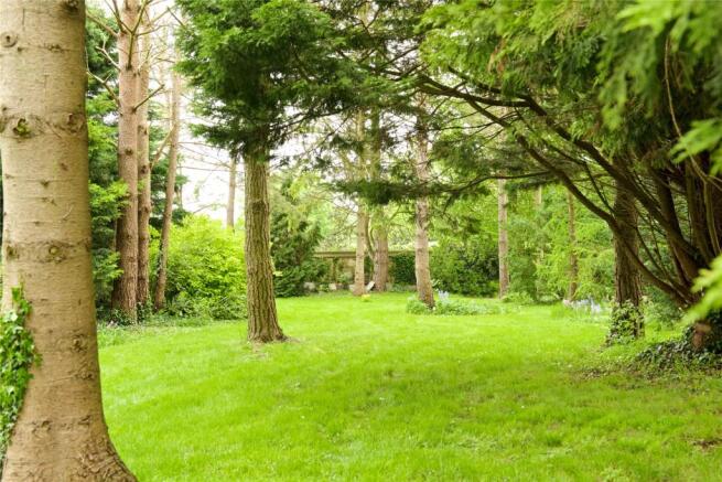 Woodland