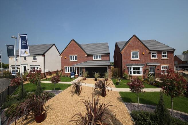 Wepre Green show homes 