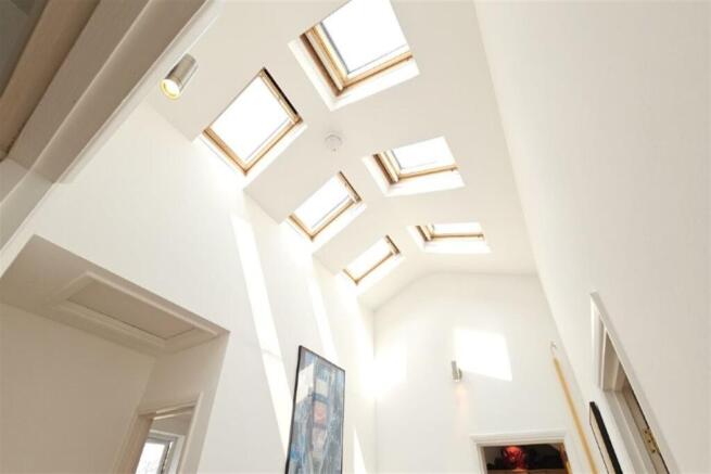 Sky Lights 