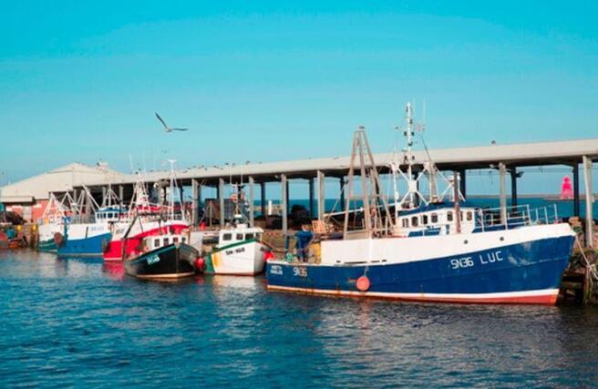 Fish Quay Image