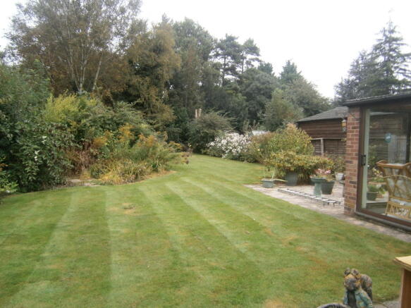 Photo 13