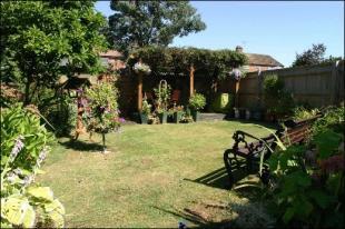 Photo 7
