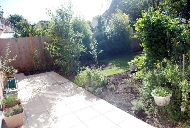 Photo 5