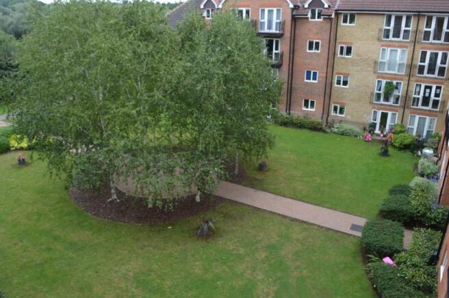 Photo 12