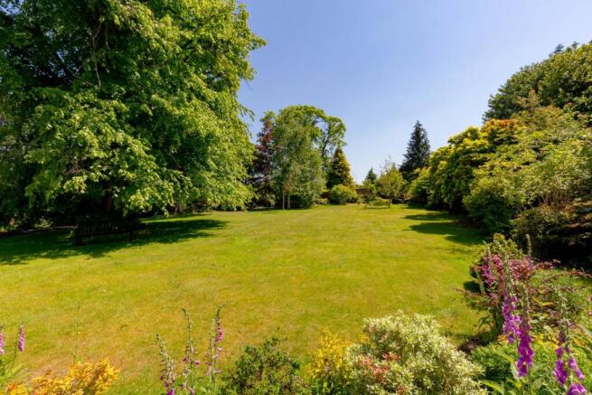 Front Lawn