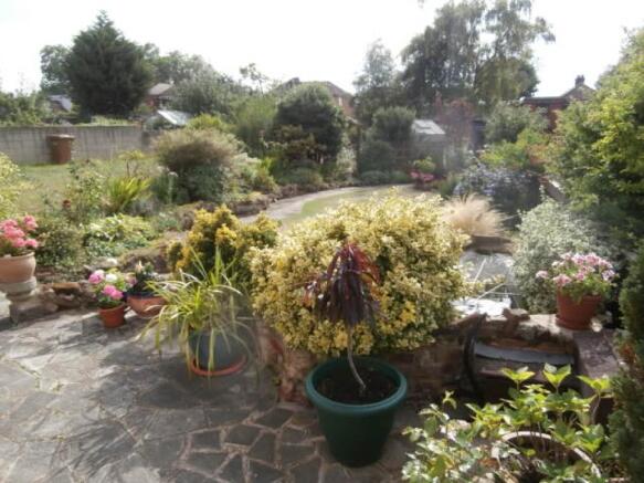 Image 10