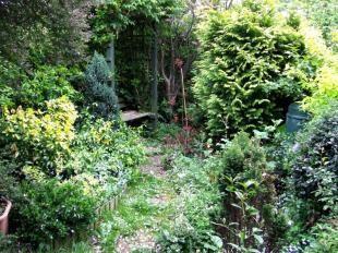 Side Garden