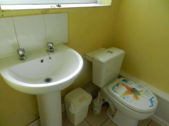 Photo 11