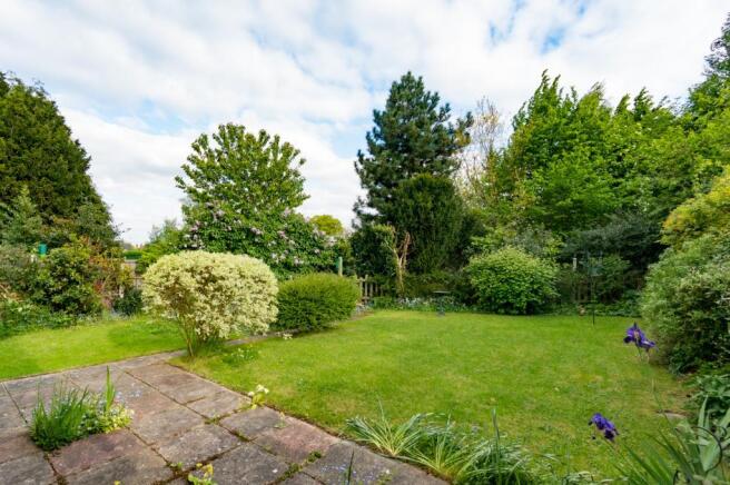 Garden at Back