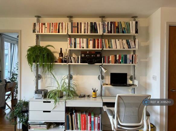 Study Area