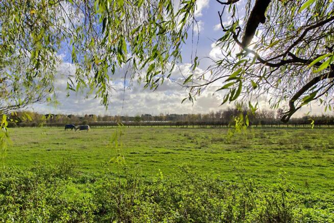 Willow End View.jpg