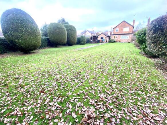 Back Garden