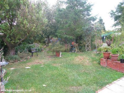 Photo 28