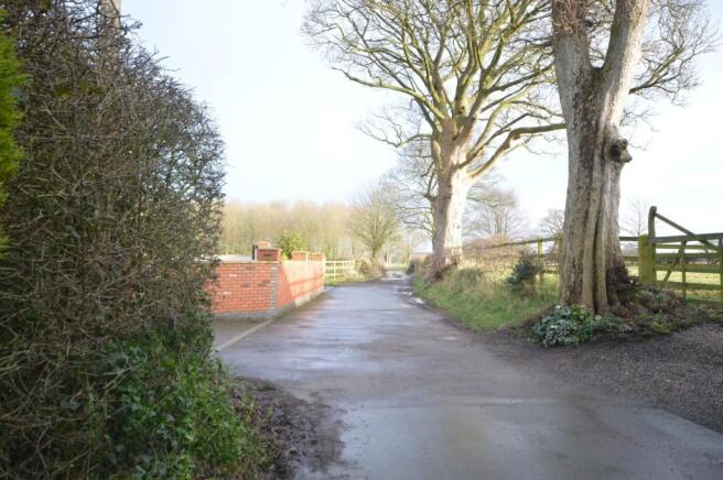 lane