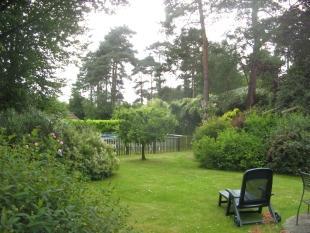 Summer Garden