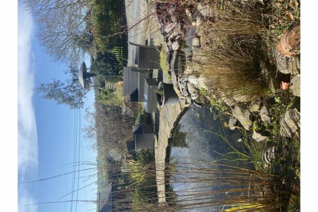 Pond