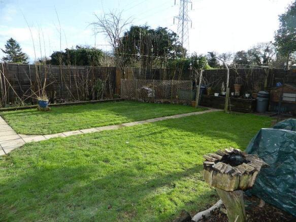 Garden Pic 2