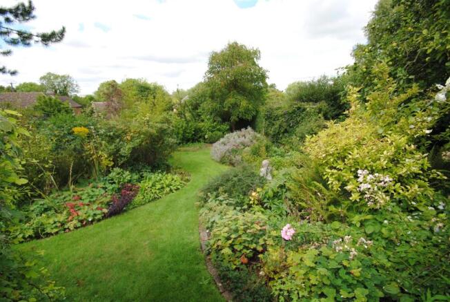 new top of garden2.jpg