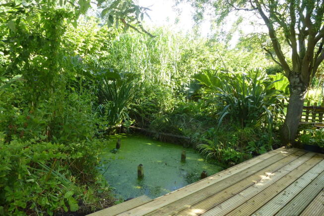 Pond