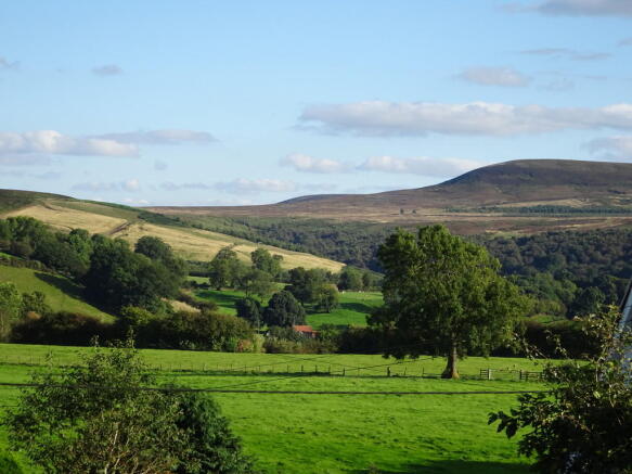 Photo 25