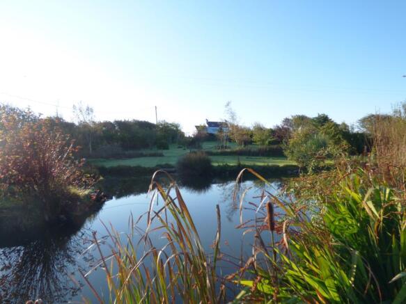 Pond