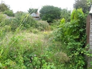 Rear Garden 2