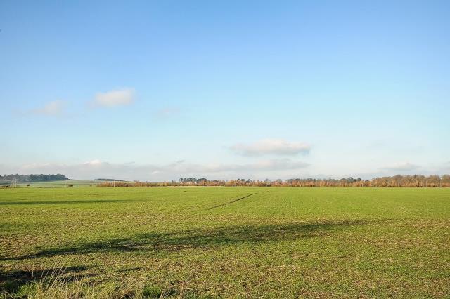 View behind garden