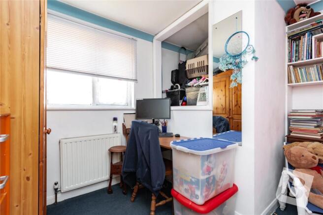 Study Area